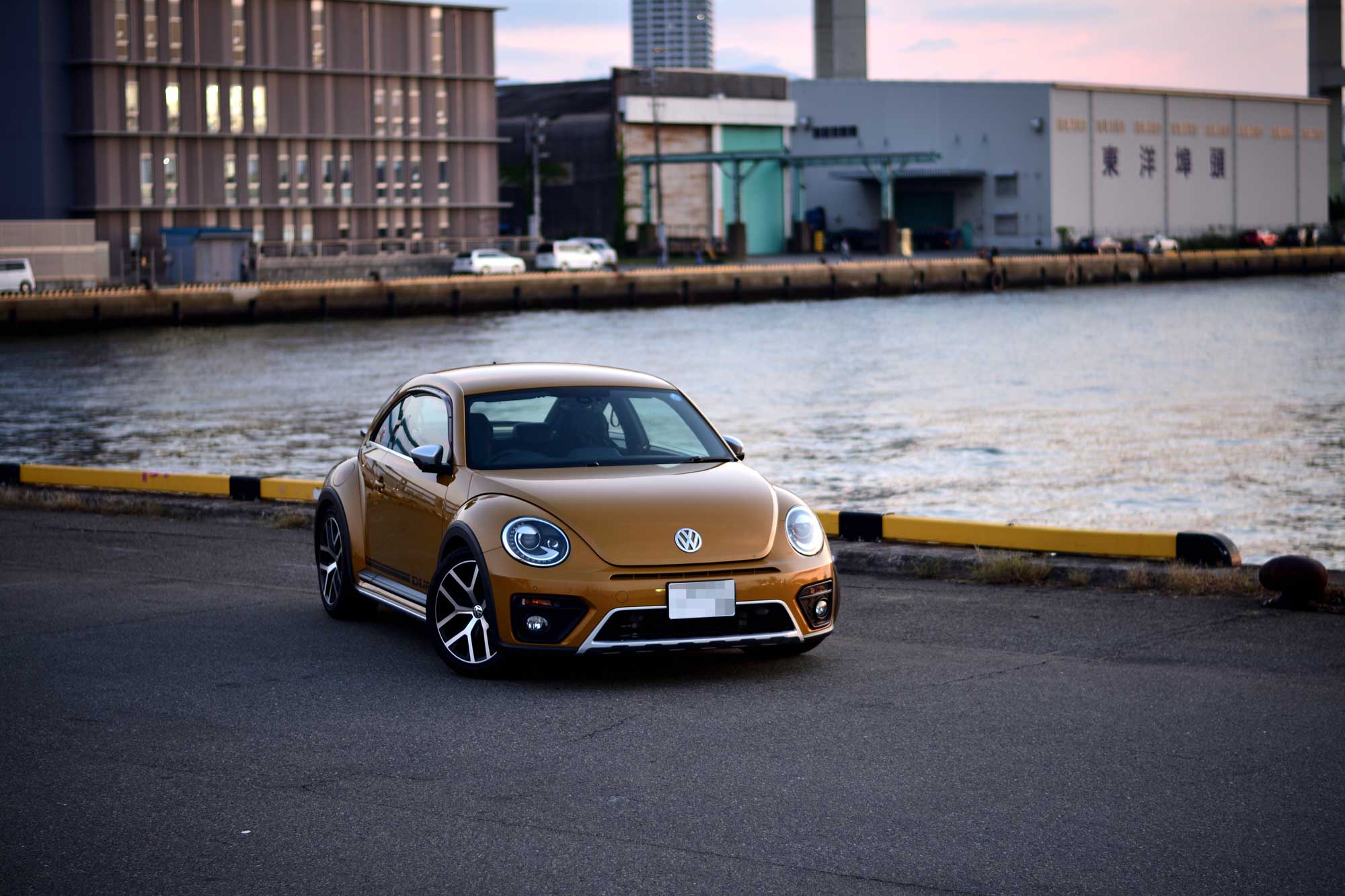 VOLKSWAGEN / THE BEETLE DUNEの写真5