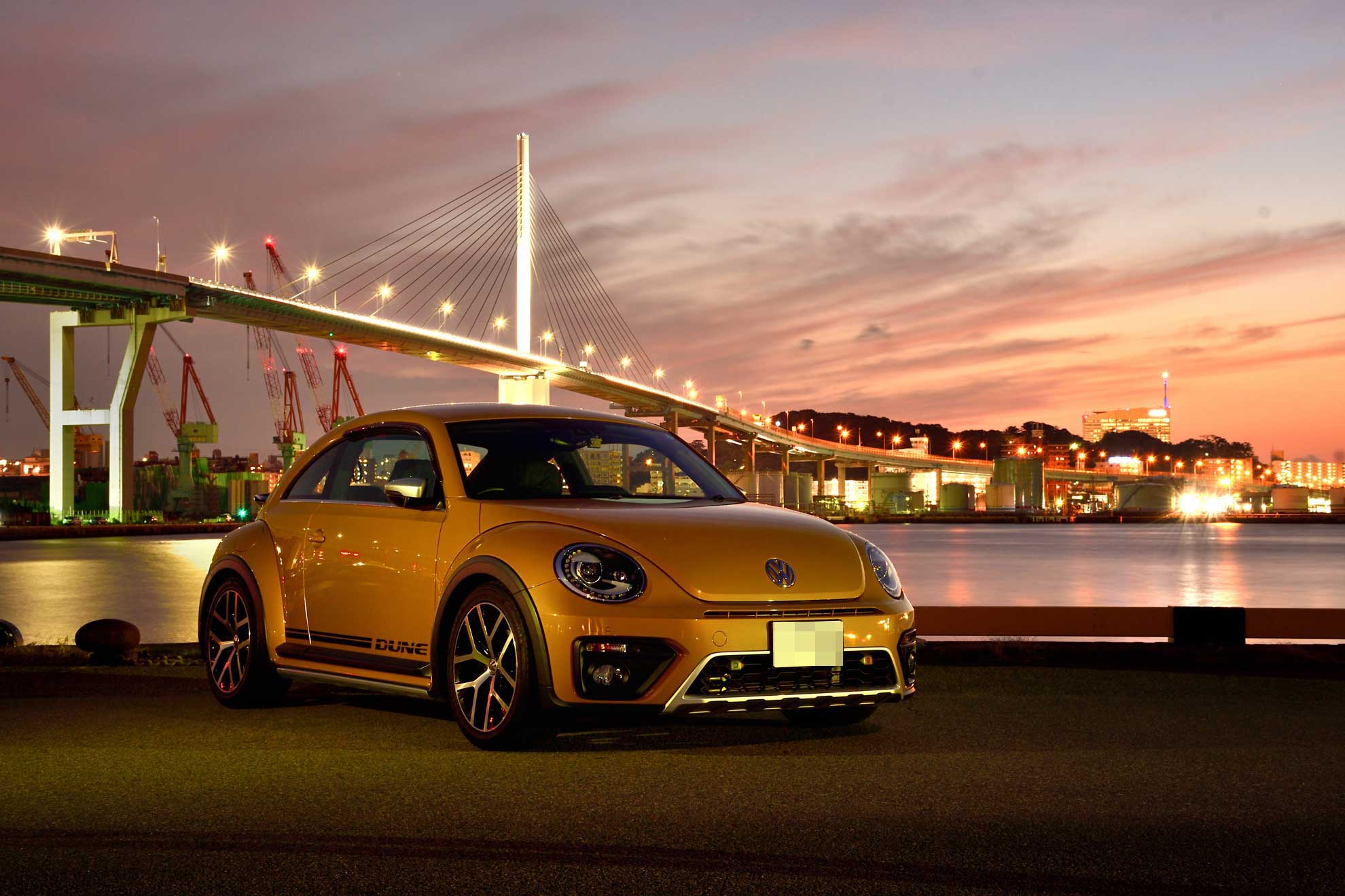 VOLKSWAGEN / THE BEETLE DUNEの写真6